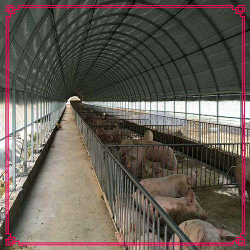 河北新旺兴农圆拱蔬菜大棚载荷性能好  养殖大棚  种植大棚  大棚骨架