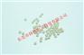 XP小米粒 辣椒籽 PIN DNPH21