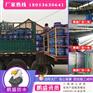 2厚js防水涂料 858防水涂料 一布三油