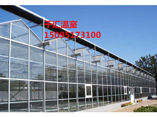 薄膜温室大棚建设 建造玻璃温室大棚就来千 玻璃大棚 玻璃温室厂家