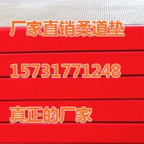 专业防滑柔道地垫柔道垫子生产、柔道垫、柔  柔道运动训练地垫  高密度压缩海绵柔
