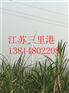 淮北市灰库清灰怎么施工