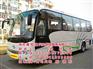 青岛租大巴热线、青岛租大巴、鑫悦情商贸(
