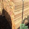 友联木业_工程建筑木方_工程建筑木方销售