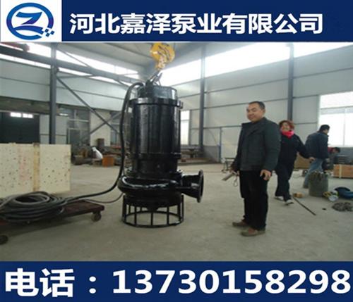 潮州潜水抽沙泵,嘉泽泵业,潜水抽沙泵价格  小型潜水抽沙泵  潜水抽沙机
