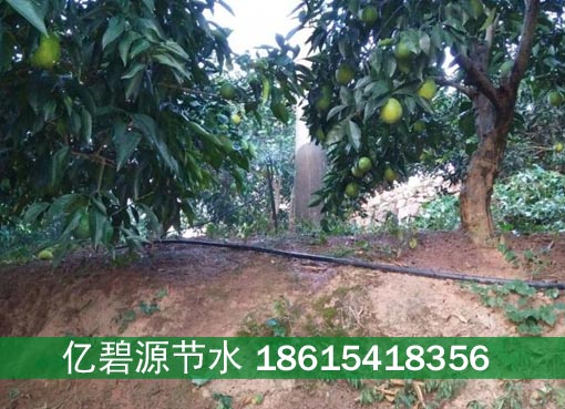 大同丘陵柑橘灌淋喷水安装报价表