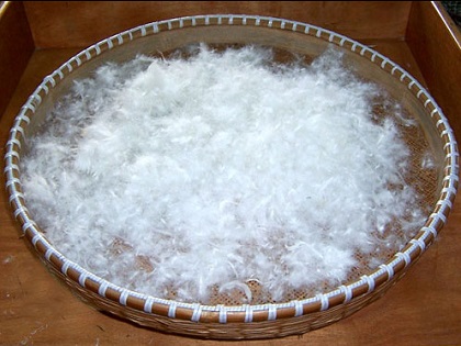 有品质的羽绒棉，漯河羽绒棉供应商  羽绒棉批发  羽绒棉价格