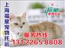 宠物托运公司价位——上海市专业宠物托运公