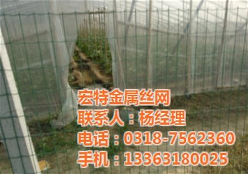 荷兰网厂家_铁丝网_圈农田铁丝网  铁丝网价格  圈鸡铁丝网