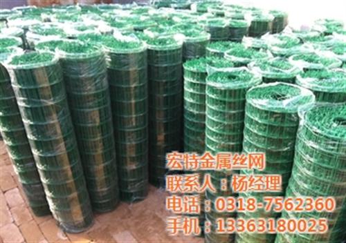 荷兰网厂家、铁丝网、圈山铁丝网  绿色铁丝网  圈鸡铁丝网