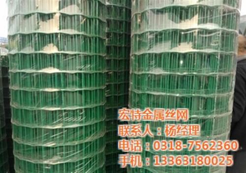 铁丝网、荷兰网厂家、绿色铁丝网  圈树铁丝网  铁丝网厂家直销  圈鸡铁丝网