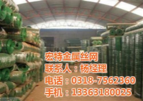 荷兰网厂家,铁丝网,圈鱼塘铁丝网  圈树铁丝网  绿色铁丝网  圈山铁丝网
