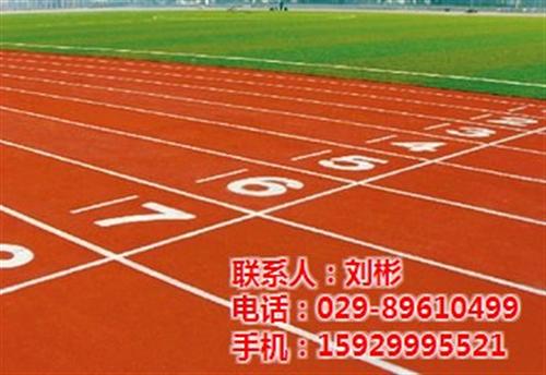塑胶跑道|陕西卫星体育|复合型塑胶跑道  13mm 塑胶跑  陕西塑胶跑道