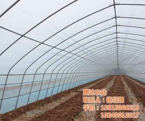 简易大棚、腾达农业、简易大棚建造  简易大棚厂家  简易大棚造价