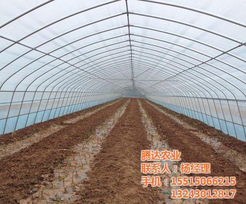 简易大棚的造价_简易大棚_腾达农业(多图  简易大棚建造方法  简易大棚的建设