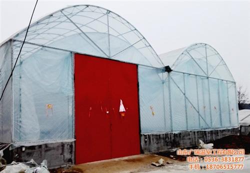 密云县养殖大棚,专业建造家禽养殖大棚,新&nbsp;&nbsp;鸽子养殖大棚&nbsp;&nbsp;新型养殖大棚&nbsp;&nbsp;20米养殖大棚