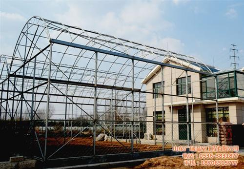 专业建造家禽养殖大棚_延庆县养殖大棚_荷&nbsp;&nbsp;鸽子养殖大棚&nbsp;&nbsp;20米养殖大棚&nbsp;&nbsp;荷兰猪养殖大棚