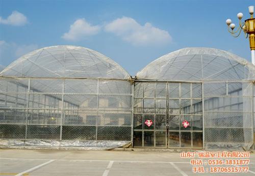 哈密瓜种植温室,海阳市种植温室,建造水果&nbsp;&nbsp;火龙果种植温室&nbsp;&nbsp;甜瓜种植温室