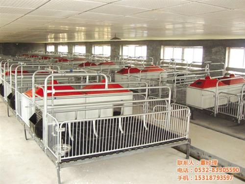养猪设备厂家|养猪设备|青驰源(图)  烟台养猪设备  辽宁养猪设备