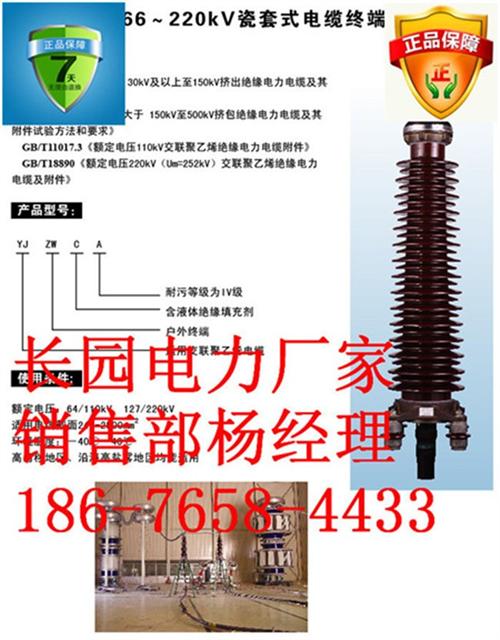 YJZWY4终端头是什么类型,YJZWY  YJZWY4是瓷  底座（坐式）YJ