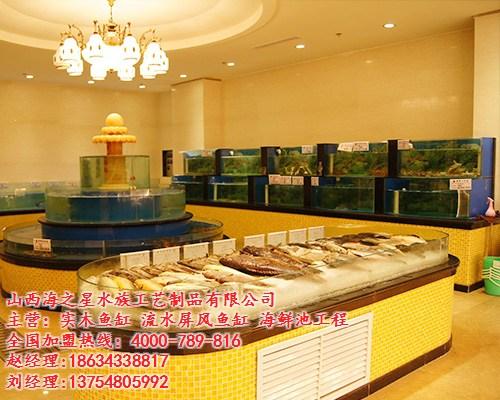 海之星水族公司|定做海鲜池|定做海鲜池哪  定做海鲜池哪家好  定做海鲜池公司  定做海鲜池电话