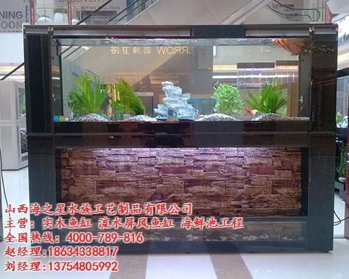订做鱼缸_海之星水族公司_家用订做鱼缸  哪里有订做鱼缸  订做鱼缸报价