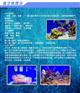 定做海鲜池_海之星水族公司_定做海鲜池价