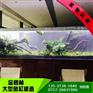 锦鲤鱼池设计_金鱼鱼池设计_金碧林(图)