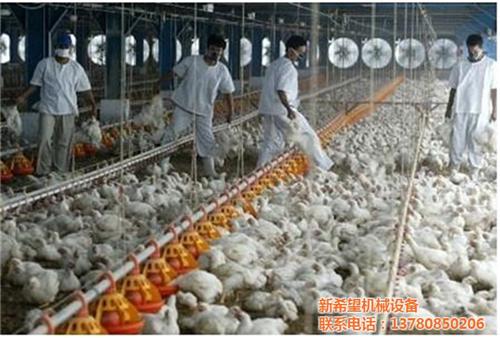 暖风炉,新希望机械设备,养猪场暖风炉&nbsp;&nbsp;鸡舍暖风炉&nbsp;&nbsp;养殖场暖风炉