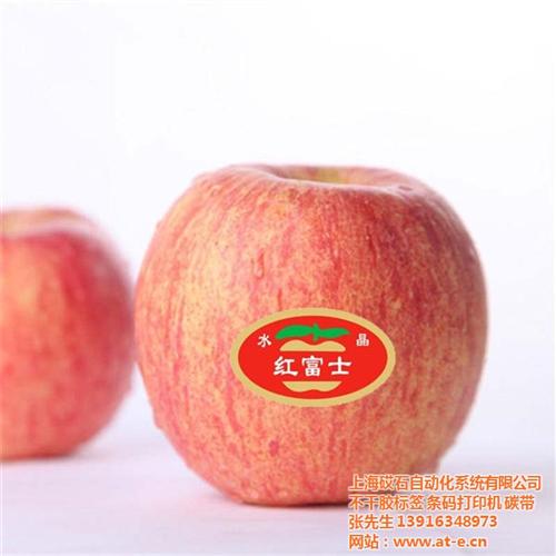 蓝莓标签桑葚果标签_标签_上海柠檬标签(  蓝莓标签、桑葚果  马蹄标签、树菠萝  樱桃标签、番石榴