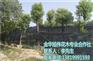 容器苗种类|浙江容器苗|旭伟花木欢迎实地