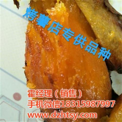 烟薯25_禾田薯业质量可靠_烟薯25价格  烟薯25供应  烟薯25地瓜种苗