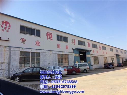 定制离心泵厂家|离心泵|选恒利泵业售后有  自吸式离心泵  双层管道离心泵