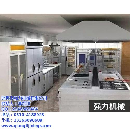 曲周调味品设备销售、调味品设备、强力机械  邢台调味品设备品  涉县调味品设备供