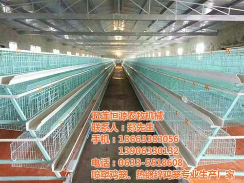 恒源鸡笼,吉林三层肉鸡笼,三层肉鸡笼出售  三层肉鸡笼厂家  三层肉鸡笼采购