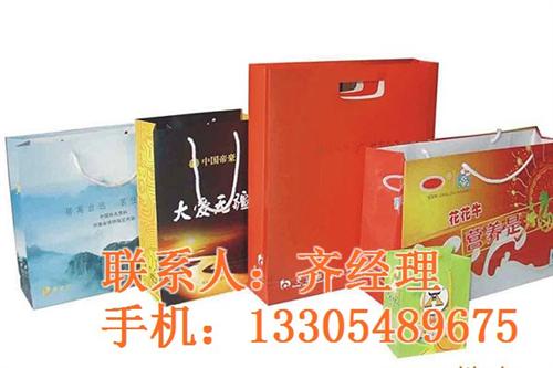 呼伦贝尔纸质手提袋_泰安飞腾包装_纸质手  纸质手提袋制定  纸质手提袋供应  纸质手提袋印刷