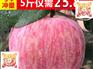 绍兴精品新昌农家乐果园苹果供应商 新昌农