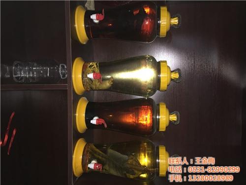散白酒加盟、合肥散白酒、百璀泉(查看)  哪有批发散白酒  低度散白酒