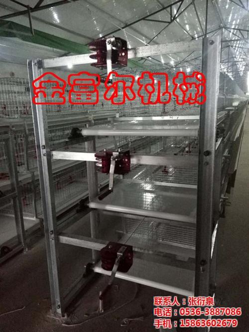 蛋鸡舍清粪带、鸡舍清粪带、金富尔(多图)  供应蛋鸡舍清粪带  专业生产蛋鸡舍清