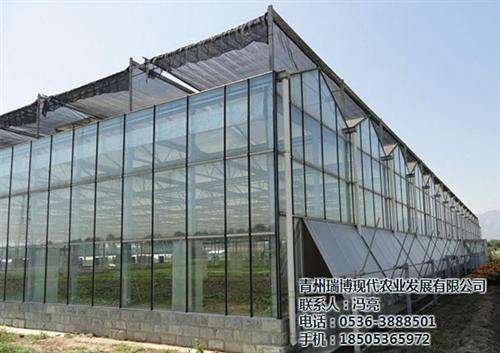 温室工程|新昌晟物产|生态温室工程  玻璃温室工程  连栋温室工程