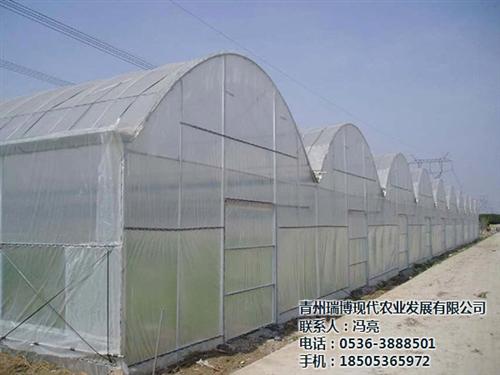 温室工程,新昌晟物产,连栋温室工程  温室工程及设备  现代温室工程