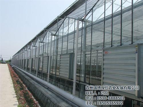 温室工程、新昌晟物产、pc板温室工程  温室工程及设备  生态温室工程