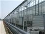 新昌晟物产_温室工程_青州温室工程公司