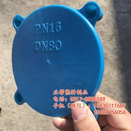 吉林塑料法兰盖_正帮塑料制品_DN80塑&nbsp;&nbsp;DN20塑料法兰&nbsp;&nbsp;DN50塑料法兰&nbsp;&nbsp;DN80塑料法兰