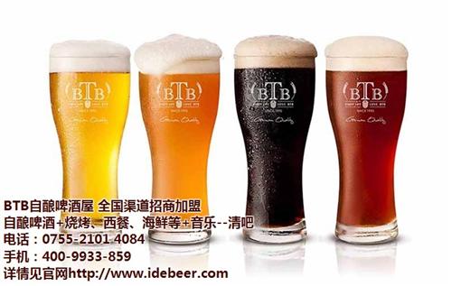 自酿啤酒,绍兴自酿啤酒,BTB自酿啤酒(  自酿 啤酒设备  自酿啤酒发酵桶