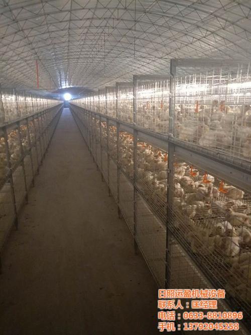 鸡笼_运盈机械_养鸡场鸡笼价格  优质鸡笼  公鸡笼