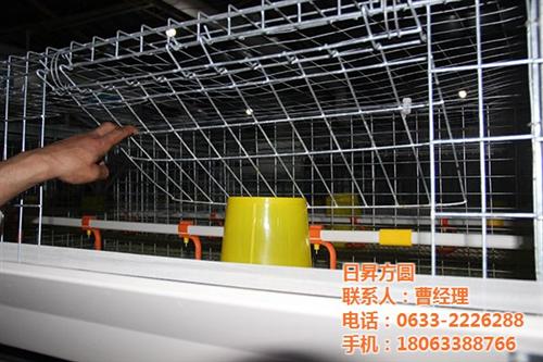 自动化养鸭设备厂家|养鸭设备|方圆笼具(  自动养鸭设备价格