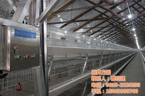 自动化养鸭设备|养鸭设备|方圆笼具(多图  全套自动化养鸭设  自动化养鸭设备厂