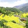 桐庐农家乐、溪畔农家乐、桐庐农家乐旅游住