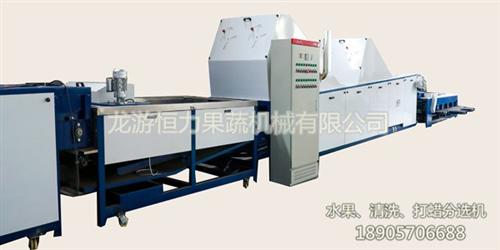 湖南水果清洗机、恒力果蔬机械优质价廉、脐  简易型清洗机  水果清洗设备  脐橙清洗机
